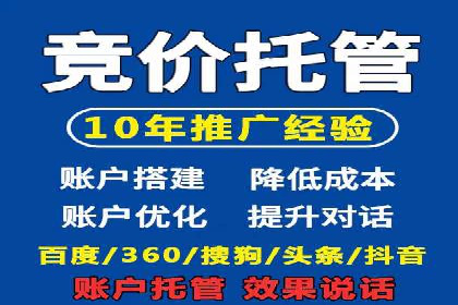 百度推广中SEO优化的成功案例分析
